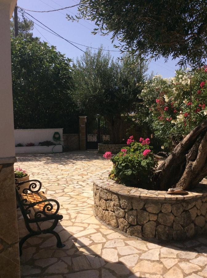 Villa Ampelaki "30 Meters To Beach" Palaiokastritsa Exterior foto